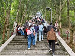 -成都老君山