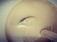 -熊猫一间店欧式奶茶铺
