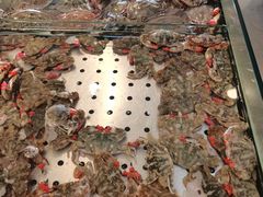 -孙家码头海鲜自助美食城