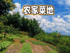 -竹泉农庄·竹筒饭(从化店)