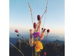 -白草畔自然风景区