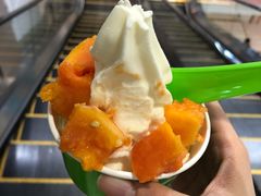 -Salud撒露欧洲冻酸奶(五道口购物中心店)