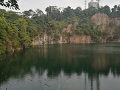 -武吉知马自然保护区