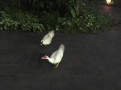 -七仙岭君澜度假酒店·桃源小馆中餐厅