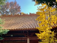 -岳麓山风景名胜区