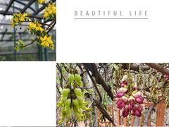 -华南国家植物园-售票处