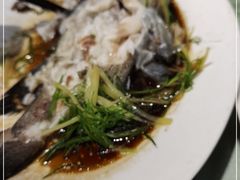 -澳门环岛游湾仔码头