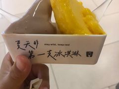 -野人先生现做冰淇淋(北京环宇荟店)