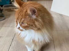 -吉派索自家烘焙咖啡馆(千佛山店)