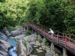 -广州白江湖森林公园