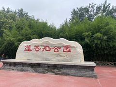 -莲花池公园
