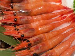 -德川家日本料理(顺义华联店)