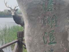 -溱湖国家湿地公园