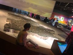 -陕西自然博物馆