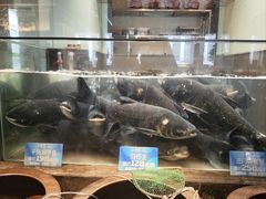 -上名堂·鱼头好吃(体育场路店)