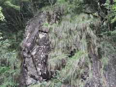 -布袋山风景区