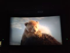 -红星电影世界上海张江绿地店