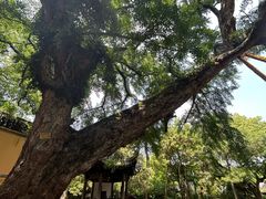 -无锡惠山寺