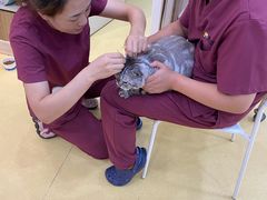-芭比堂动物医院·犬猫全科·异宠专科(雁塔分院)