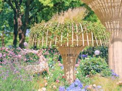 -上海滨江森林公园