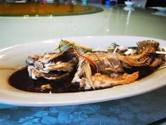 活桂鱼清蒸-新净雅烹小鲜(学院路店)