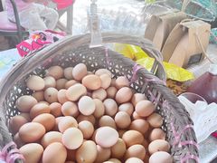 -马陆小张葡萄园农家乐