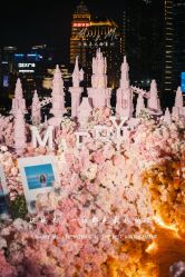 -迈瑞米求婚策划(静安店)