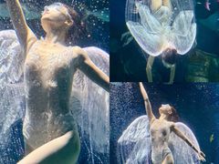 -海合安武汉极地海洋公园