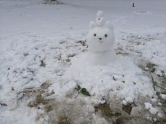 -同济大学(嘉定校区)