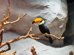 -Zoolung Zoolung动物主题公园(海信广场店)