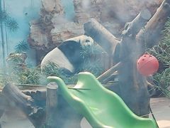 -石家庄市动物园