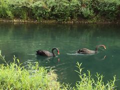 -长白岛森林公园