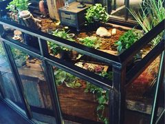 自助取餐区-D STAR COFFEE帝星咖啡