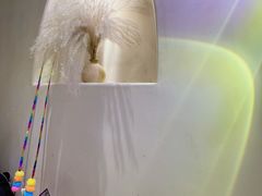 -盘炉forenza·云贵川融合小食堂 ( 钟楼中柳巷店)