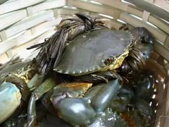 青蟹-杭州登云路农贸市场(胜月院店)