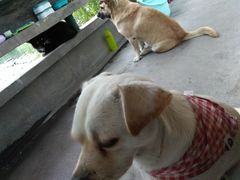 -成都中医药大学(温江校区)