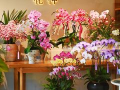 -花神·轻食简餐·咖啡馆·花卉绿植(荷兰花卉小镇店)