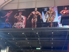 -红星美凯龙(东北全球家居1号店)