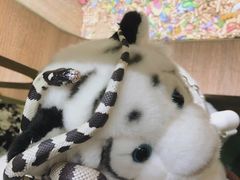 -藦茜花园宠物主题亲子互动体验馆(国顺东路店)