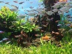 -太平洋海底世界