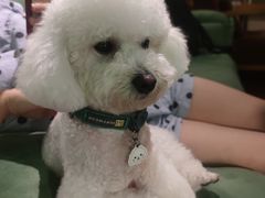 -默迹咖啡馆