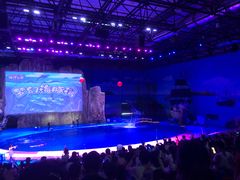 -华夏文旅海洋公园