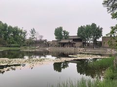 -常家庄园