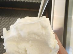 -野人先生现做冰淇淋(北京王府井东方新天地店)