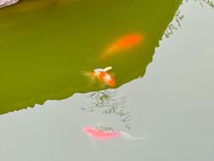 -湘子庙