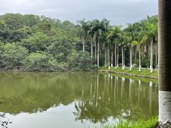 -番禺大夫山森林公园