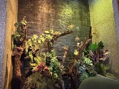 -泰适SPA馆丨精油·按摩·足道(后海地铁口店)