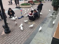 -王府井奥莱临潼小镇(临潼店)