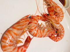 -陶陶居海鲜酒家(新马路店)