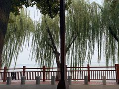 -东湖听涛景区